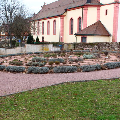 Bild vergrößern: Kräuterlabyrinth-Frühjahr